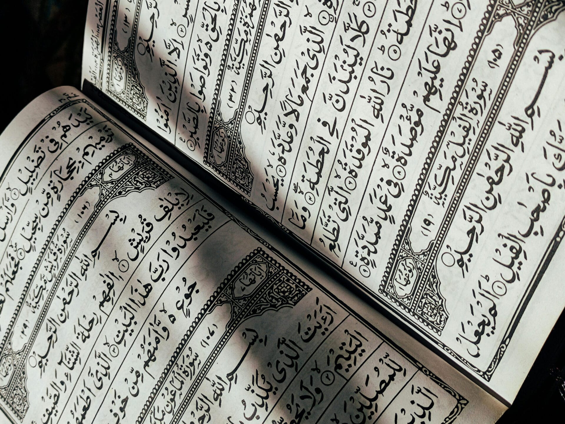 Kitap Ekleri
