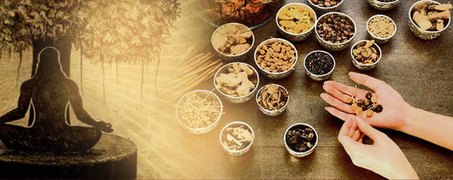 Ayurveda nedir sorusunu sembolize eden şifalı bitkiler ve hat sanatı görseli