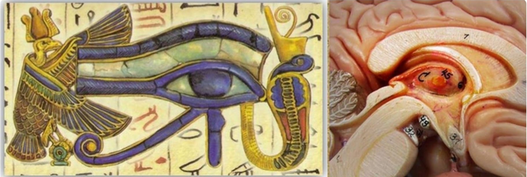 Antik Mısır'da ise "Horus Gözü" (Eye of Horus) sembolü