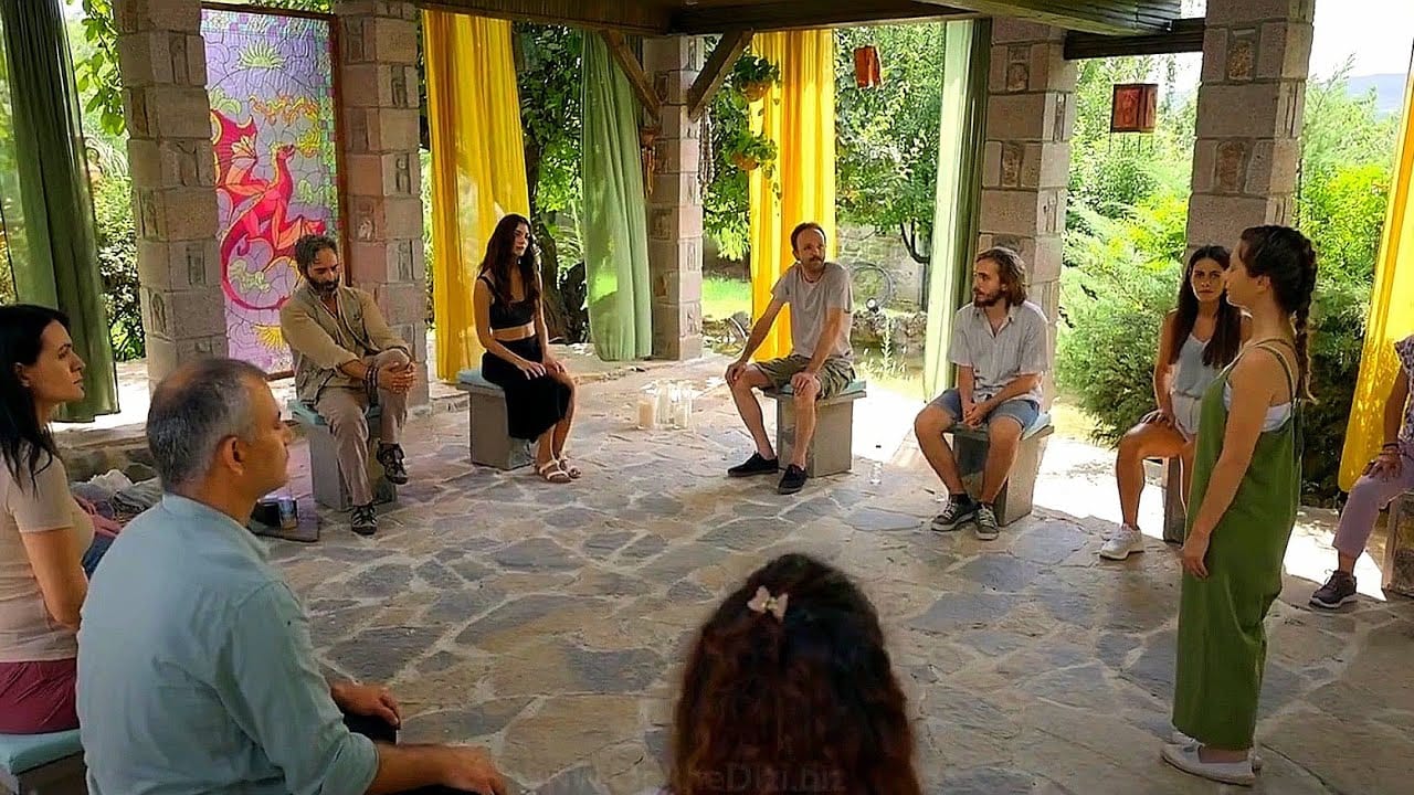 Aile Dizimi Nedir? Tarihi ve Kültürel Kökenleri 2 Zeytin Agaci Dizisi Aile Dizimi Terapisi